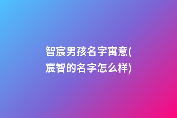 智宸男孩名字寓意(宸智的名字怎么样)