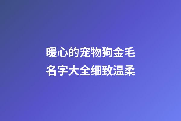 暖心的宠物狗金毛名字大全细致温柔