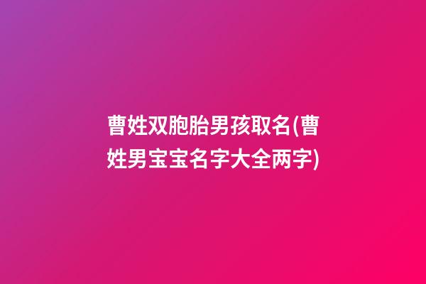 曹姓双胞胎男孩取名(曹姓男宝宝名字大全两字)