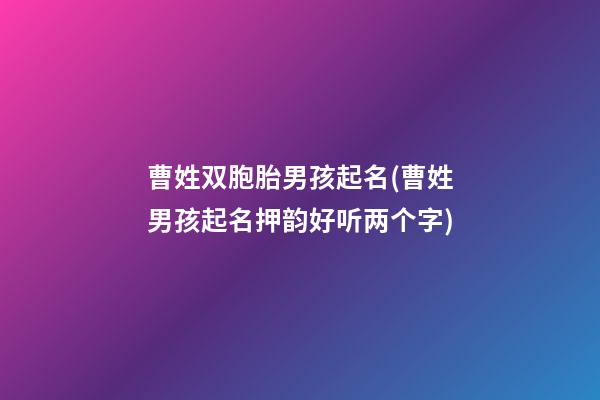 曹姓双胞胎男孩起名(曹姓男孩起名押韵好听两个字)