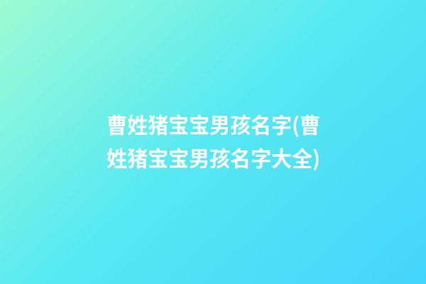 曹姓猪宝宝男孩名字(曹姓猪宝宝男孩名字大全)