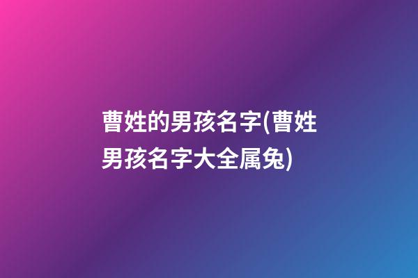 曹姓的男孩名字(曹姓男孩名字大全属兔)