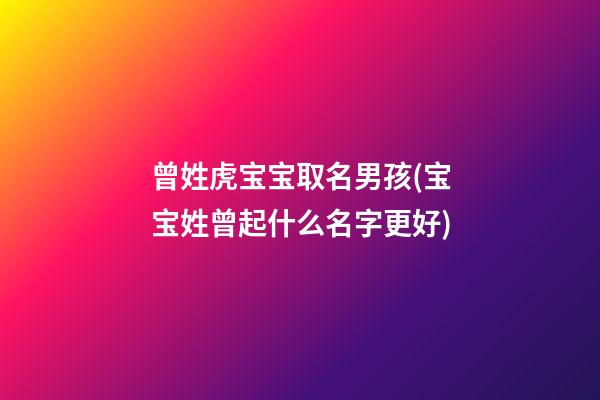 曾姓虎宝宝取名男孩(宝宝姓曾起什么名字更好)
