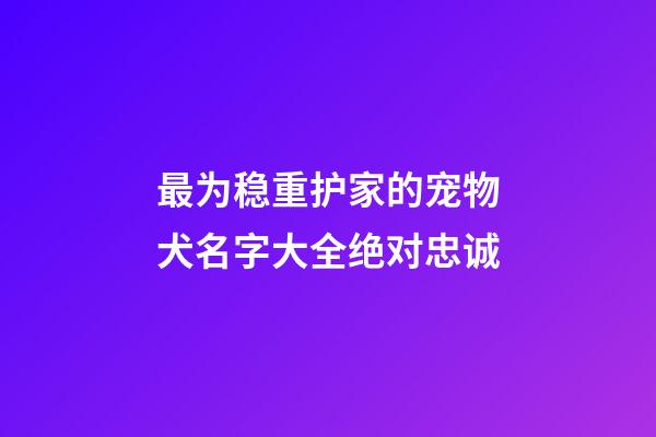 最为稳重护家的宠物犬名字大全绝对忠诚