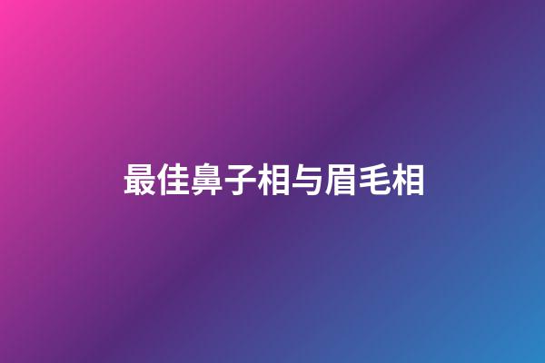 最佳鼻子相与眉毛相