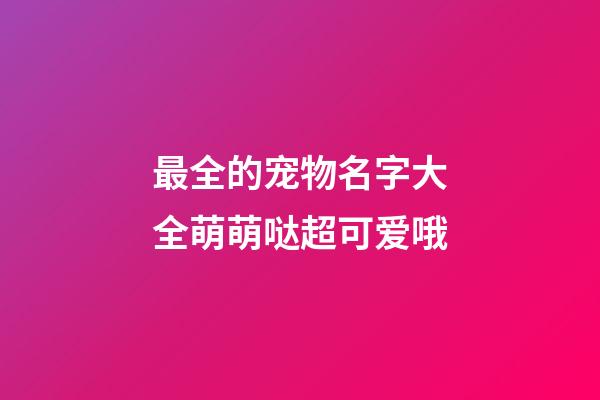 最全的宠物名字大全萌萌哒超可爱哦