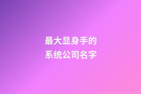 最大显身手的系统公司名字-第1张-公司起名-玄机派