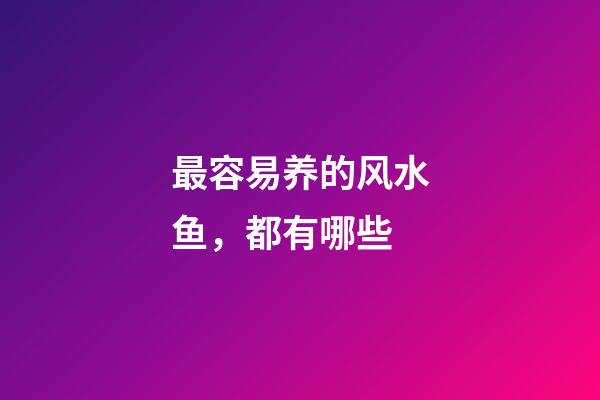 最容易养的风水鱼，都有哪些
