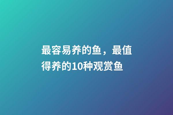 最容易养的鱼，最值得养的10种观赏鱼-第1张-观点-玄机派