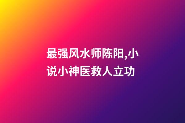 最强风水师陈阳,小说小神医救人立功-第1张-观点-玄机派