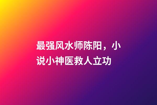 最强风水师陈阳，小说小神医救人立功-第1张-观点-玄机派