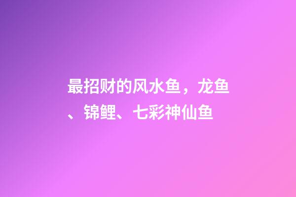 最招财的风水鱼，龙鱼、锦鲤、七彩神仙鱼