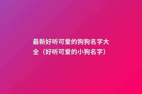 最新好听可爱的狗狗名字大全（好听可爱的小狗名字）