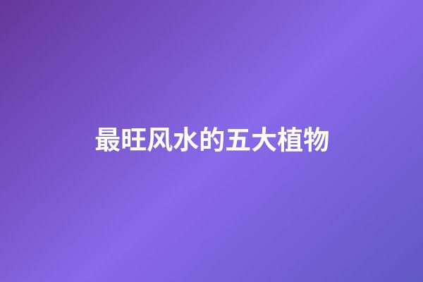 最旺风水的五大植物