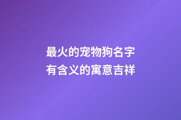 最火的宠物狗名字有含义的寓意吉祥