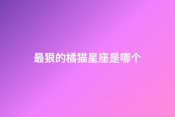 最狠的橘猫星座是哪个-第1张-星座运势-玄机派