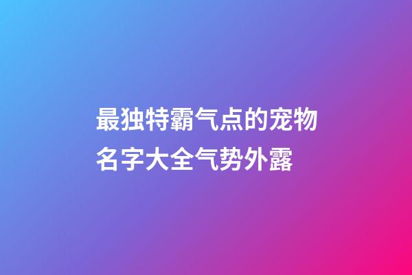 最独特霸气点的宠物名字大全气势外露