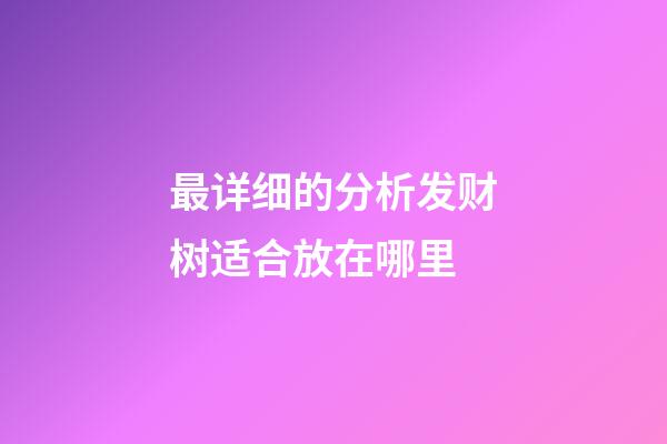 最详细的分析发财树适合放在哪里