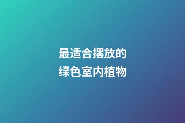 最适合摆放的绿色室内植物