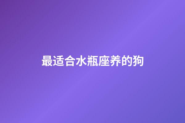 最适合水瓶座养的狗-第1张-星座运势-玄机派