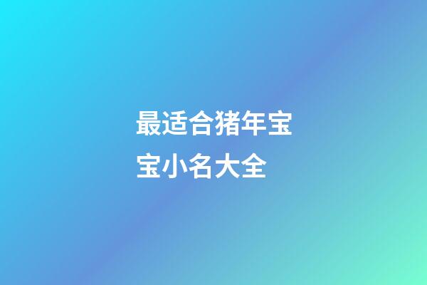 最适合猪年宝宝小名大全