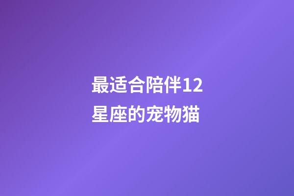 最适合陪伴12星座的宠物猫-第1张-星座运势-玄机派