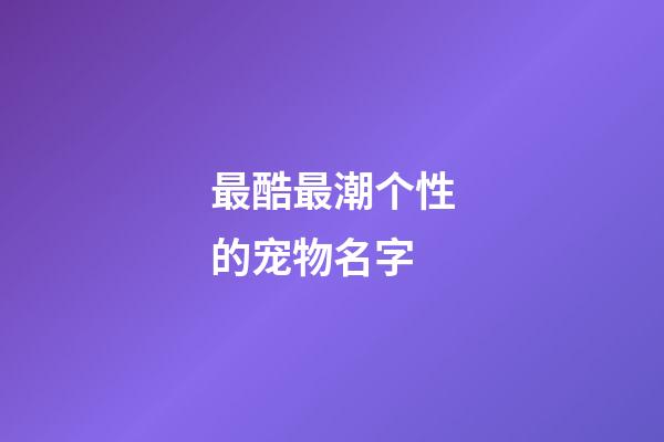 最酷最潮个性的宠物名字