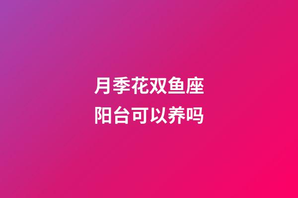 月季花双鱼座阳台可以养吗-第1张-星座运势-玄机派