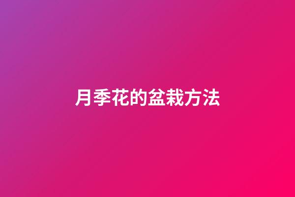 月季花的盆栽方法