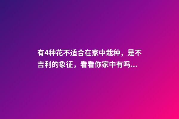 有4种花不适合在家中栽种，是不吉利的象征，看看你家中有吗？