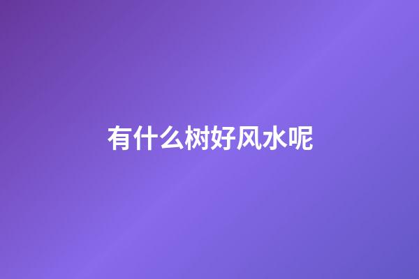 有什么树好风水呢