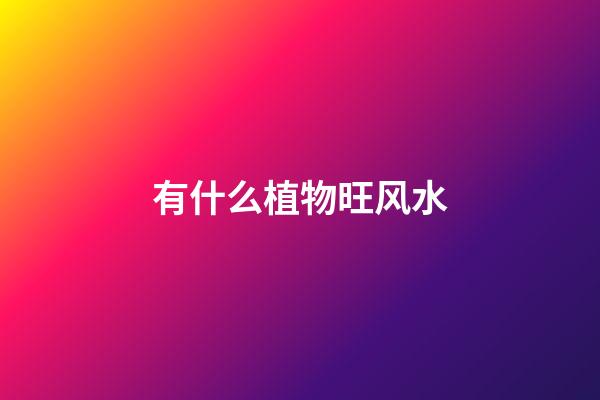 有什么植物旺风水