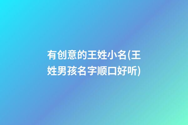 有创意的王姓小名(王姓男孩名字顺口好听)