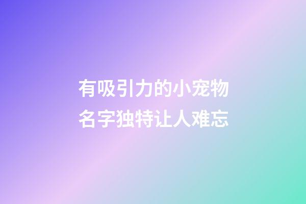 有吸引力的小宠物名字独特让人难忘