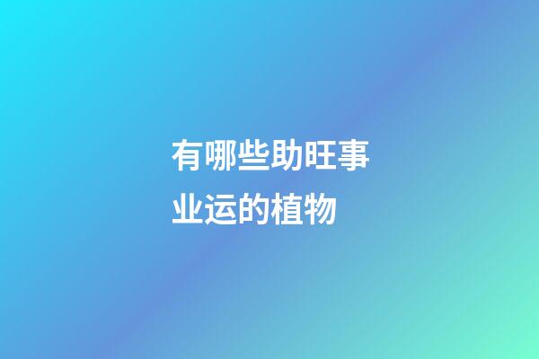 有哪些助旺事业运的植物