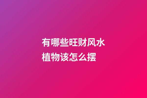 有哪些旺财风水植物该怎么摆