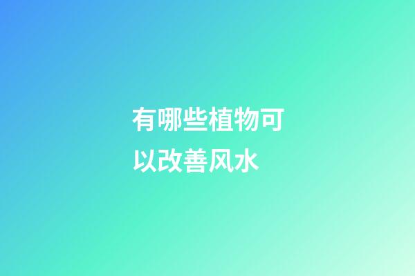 有哪些植物可以改善风水