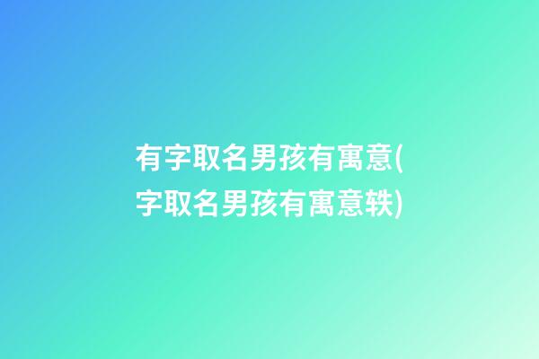 有字取名男孩有寓意(字取名男孩有寓意轶)