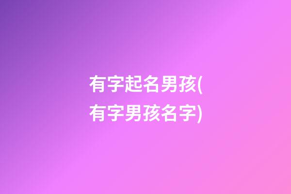 有字起名男孩(有字男孩名字)