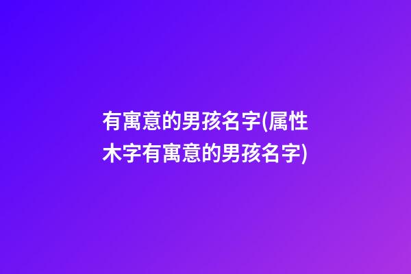 有寓意的男孩名字(属性木字有寓意的男孩名字)