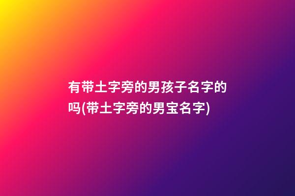 有带土字旁的男孩子名字的吗(带土字旁的男宝名字)