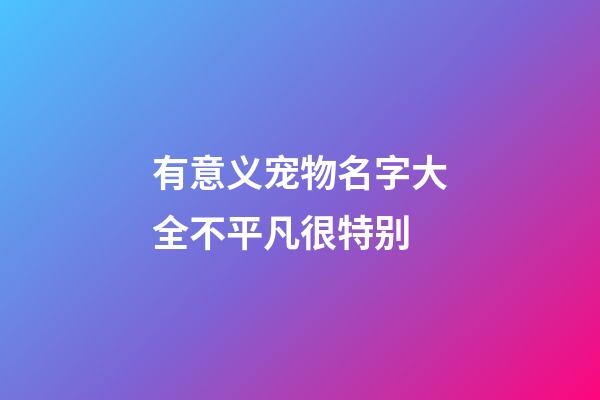 有意义宠物名字大全不平凡很特别