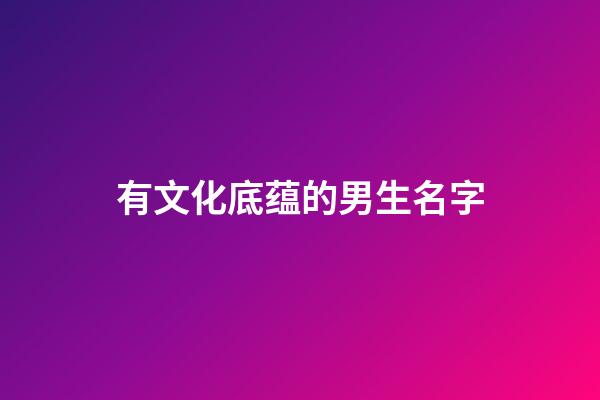 有文化底蕴的男生名字