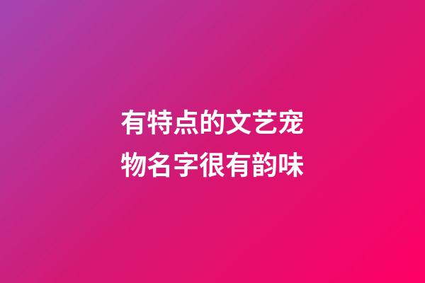 有特点的文艺宠物名字很有韵味