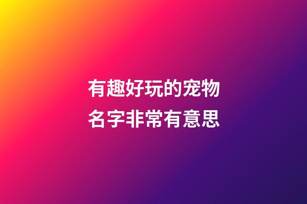 有趣好玩的宠物名字非常有意思