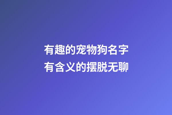 有趣的宠物狗名字有含义的摆脱无聊