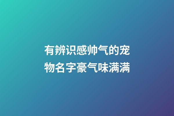 有辨识感帅气的宠物名字豪气味满满