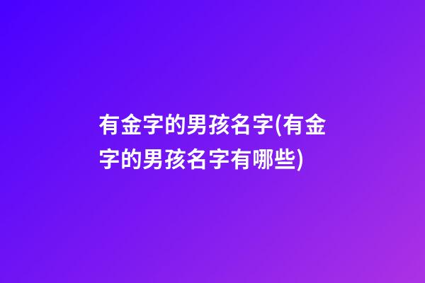 有金字的男孩名字(有金字的男孩名字有哪些)