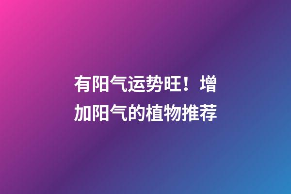 有阳气运势旺！增加阳气的植物推荐