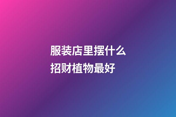 服装店里摆什么招财植物最好